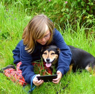 Собачье дело. Какая польза вашему домашнему животному от мобильного интернета