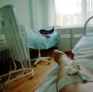 Хантавирус в Украине: два случая в начале года выявили в Хмельницком, детали