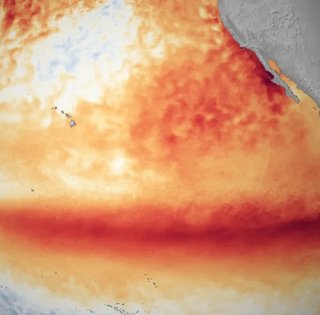 На Землю насувається нова хвиля спеки: її породить те, що зароджується у Тихому океані (відео)