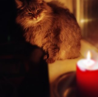 Графики отключений 9 декабря: кто будет сидеть без света 14 часов