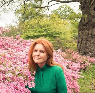 "Одружись зі мною": колишня дружина принца Ендрю писала листи Епштейну