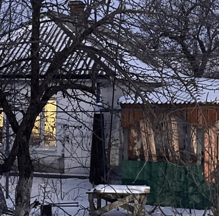 Дом в селе за $5 тысяч: украинка показала, какой "сюрприз" был внутри (фото)