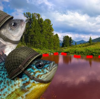 Украина без щуки и леща, но с "пришельцами": как происходит оккупация водоемов