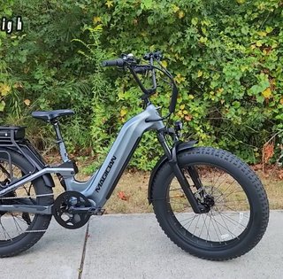 Быстрее мопедов: в США создали мощный электровелосипед с запасом хода 160 км (видео)