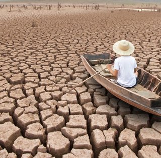 Потепління, Трамп і Ель-Ніньйо: чому на світ насувається продовольча криза