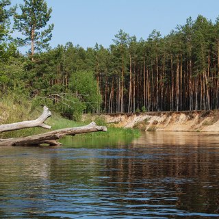 Лесные приключения. Неизведанный туристами край Украины