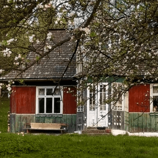 Жінка купила 100-річну хату в Карпатах за $13 тисяч: тепер там рай (фото)