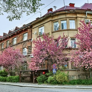 Чешское наследие. Чем знаменит Малый Галагов в Ужгороде и что там можно увидеть за два дня