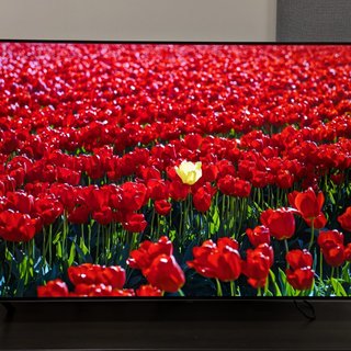 Експерт назвав найкращий OLED-телевізор 2026 року: яка модель LG заслужила високу оцінку (фото)