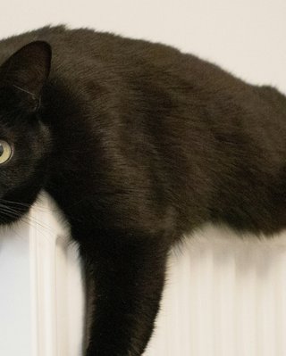 Что делать, когда нет ни отопления, ни света: 5 способов согреться в квартире зимой