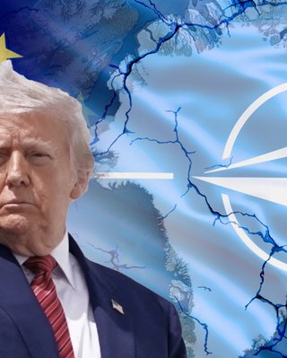 "Скажите Дании, чтобы они убрались": Трамп агрессивно обратился к НАТО по поводу Гренландии