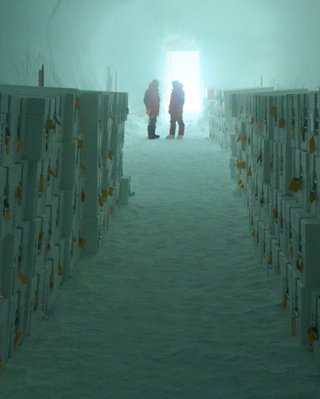 В Антарктиді відкрито перший у світі крижаний "банк": у комірках зберігаються стародавні скарби (відео)