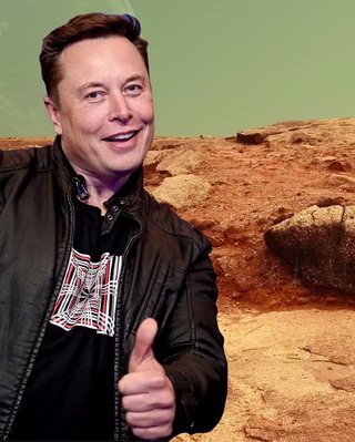 Провокация Маска обернулась скандалом: польский министр очень далеко послал миллиардера