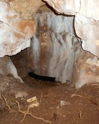 Ученые получили ДНК из 11 000-летнего захоронения: что удалось узнать (фото)