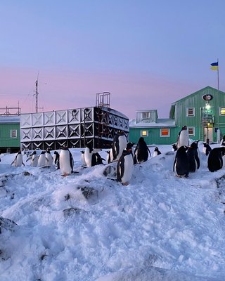 Дослідження Антарктиди. Станція "Академік Вернадський"