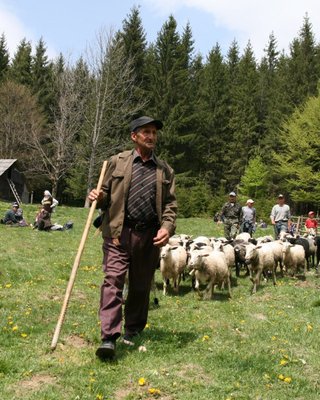 Красивая страна