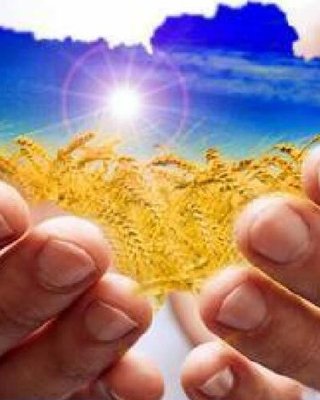 Гроші для зростання. Де їх узяти та як Україні вирватися з пастки відсталості