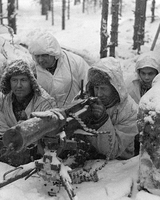 Зимова війна 1939: факти, історія, аналіз