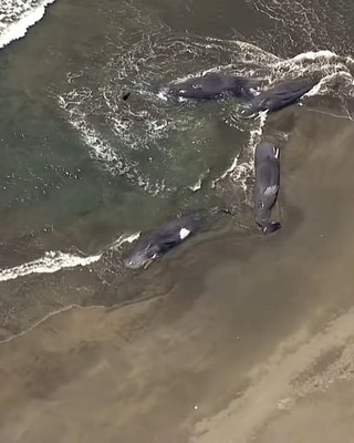 Землетрясение на Камчатке