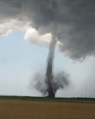 Непредсказуемое лето