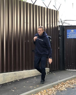 Мітинги на підтримку Навального