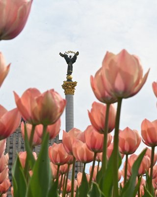 Комфорт і спокій у своєму домі. Як реалізувати мрію українців?
