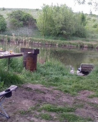 Массовое убийство в Новоселице