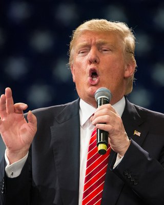 Добровольно-принудительно. Что будет делать Дональд Трамп на посту главы государства