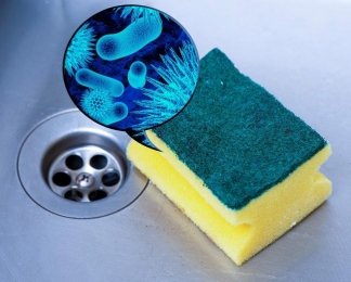 Инкубатор для микробов: ученые рассказали, какую опасность несет обычная кухонная губка