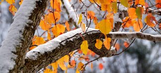 Снег осенью