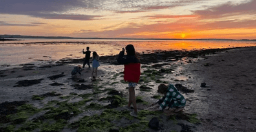 Сім'я переїхала на острів із 200 жителями, на який можна потрапити тільки 2 рази на день