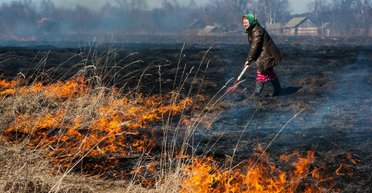 Штрафи до 150 тисяч грн: як українців можуть покарати за спалення листя