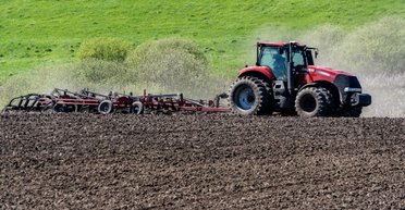 Щедрі-невеселі жнива: радість рекордного врожаю затьмарюють хиткі перспективи експорту