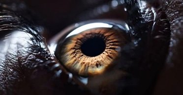 Найдена странная причина того, почему люди моргают: это нужно не только для увлажнения глаз