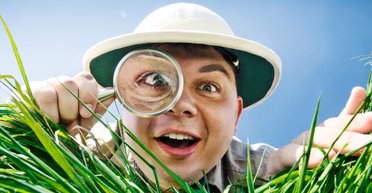 Життя в мініатюрі. Кого з тварин вважають найменшими в світі