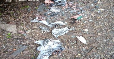 "Разорвали на куски": пограничники уничтожили рой дронов ВС РФ под Запорожьем (фото)