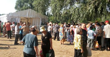 Тень выборов. Пять законов человеческой глупости