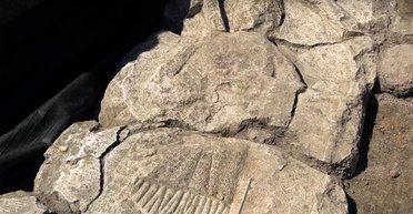 Здесь похоронен рыцарь Тевтонского ордена: археологи нашли средневековую могилу в Польше (фото)