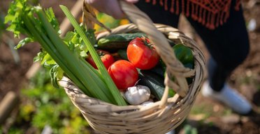 Цены на популярные овощи и фрукты в Украине стремительно растут: сколько придется потратить