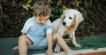 Какую собаку завести, если в семье есть ребенок: ветеринары назвали наименее агрессивные породы (фото)