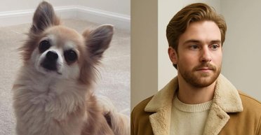 "Просто завмерла": пес став схожим на людину і здивував свою господиню (відео)