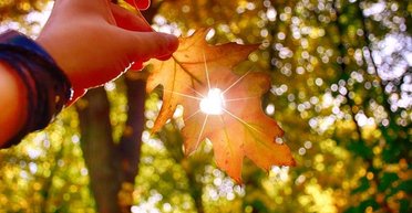 Прогноз погоды до конца сентября: придут ли дожди в Украину (карта)