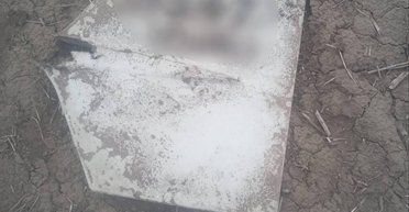 В Молдове в 500 метрах от границы с Украиной нашли обломки "шахеда" (фото)