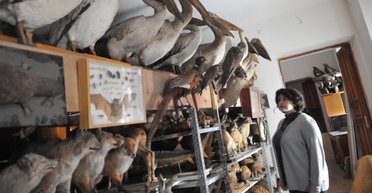 Музей с птичьего полета. Как у орнитолога и музейщика Наталии Дзюбенко выросли крылья