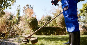 Золото в траве: коммунальщик заметил "яркий блеск" и решил проверить (фото)