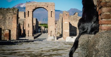 В Помпеях мастер воссоздал древние оттенки на тканях благодаря природным красителям (фото)