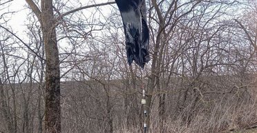 У російському Бєлгороді паніка через таємничі аеростати та невідомі датчики (фото)