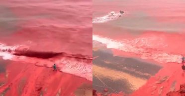 Пророчество сбылось: явление на Ближнем Востоке вызвало страхи о конце света (видео)