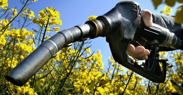 Верховная Рада обязала добавлять спирт в бензин: нарушителям грозит штраф