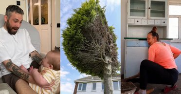 Топ-5 вірусних історій тижня: від ревнивого кота до таємного подарунка, що зберігався 14 років (фото)